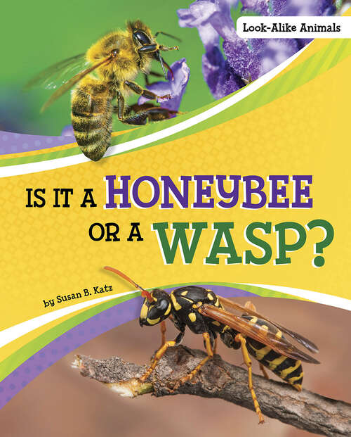 Book cover of Is It a Honeybee or a Wasp? (Look-alike Animals Ser.)