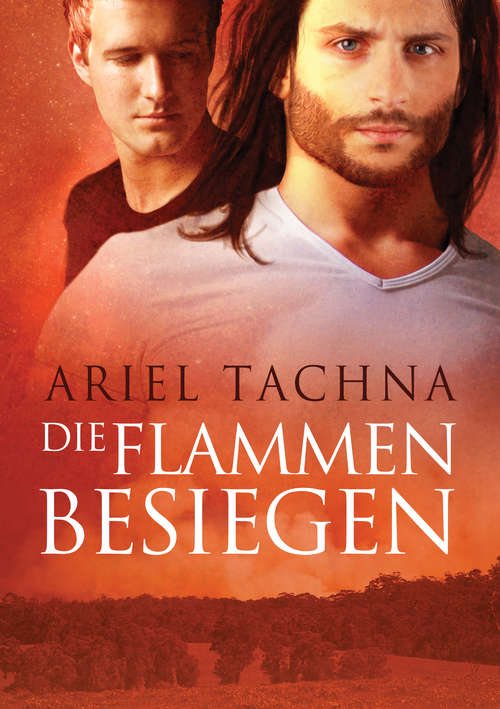 Book cover of Die Flammen besiegen (Lang Downs (Deutsch) #4)