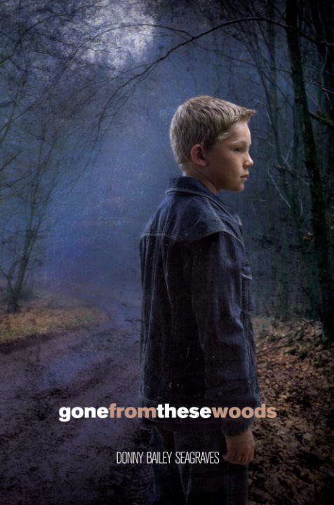 Book cover of Gone from these Woods