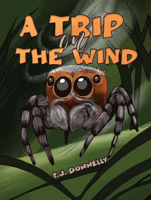 Book cover of A Trip on the Wind