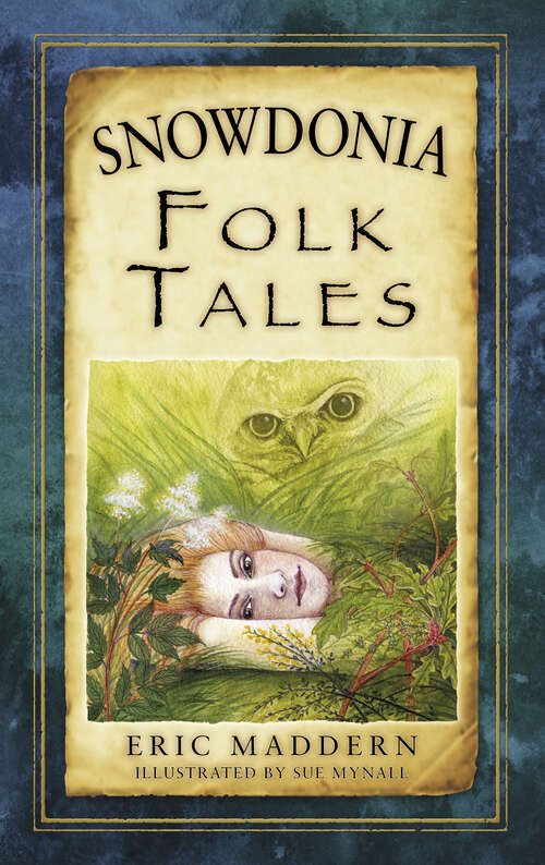 Book cover of Snowdonia Folk Tales (Folk Tales)