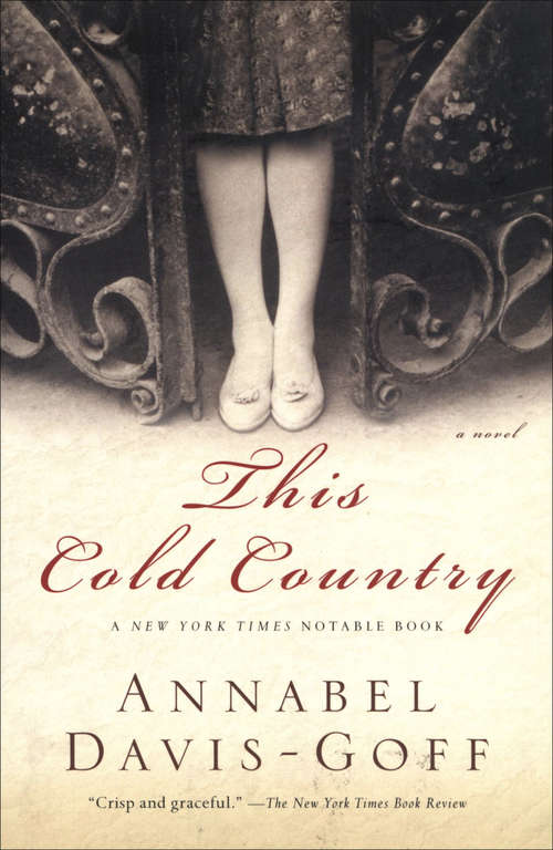 Book cover of This Cold Country: A Novel