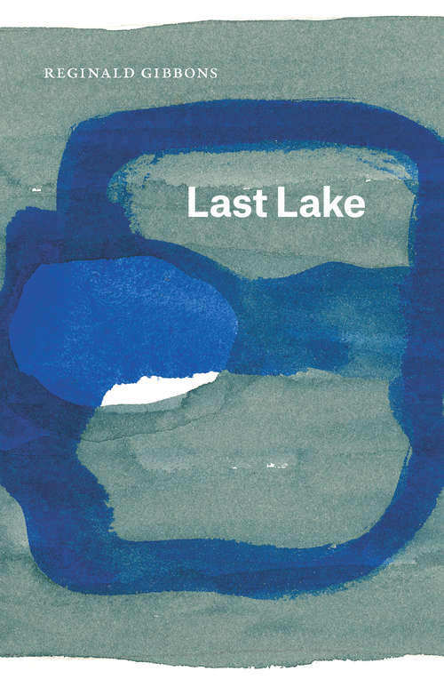 Book cover of Last Lake