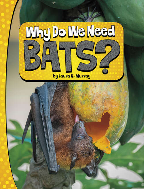 Book cover of Why Do We Need Bats? (Nature We Need Ser.)