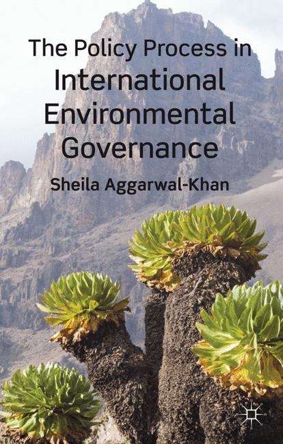 Book cover of The Policy Process in International Environmental Governance