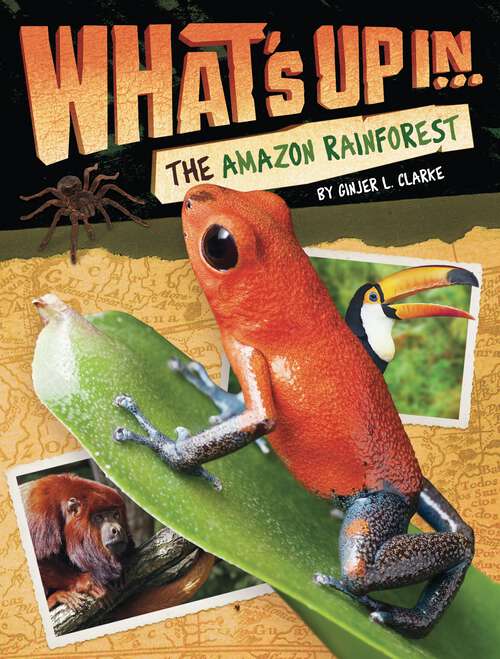 Book cover of What's Up in the Amazon Rainforest (What's Up)