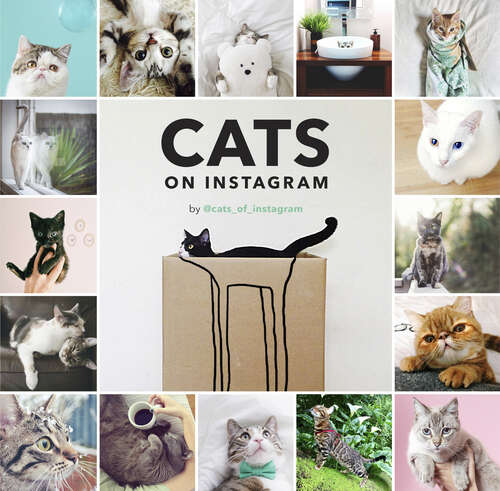 Book cover of Cats on Instagram