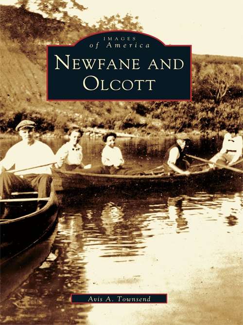 Book cover of Newfane and Olcott
