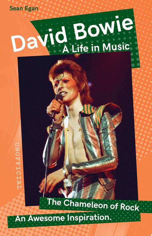 Book cover of David Bowie: A Life in Music (Want to know More about Rock & Pop?)