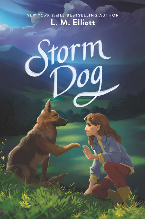 Book cover of Storm Dog