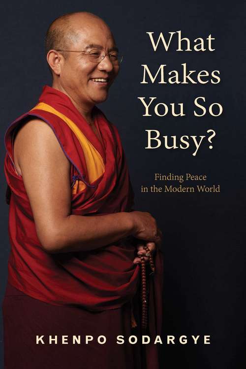 Book cover of What Makes You So Busy?: Finding Peace in the Modern World