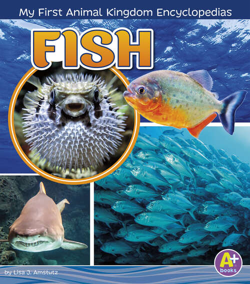 Book cover of Fish (My First Animal Kingdom Encyclopedias Ser.)