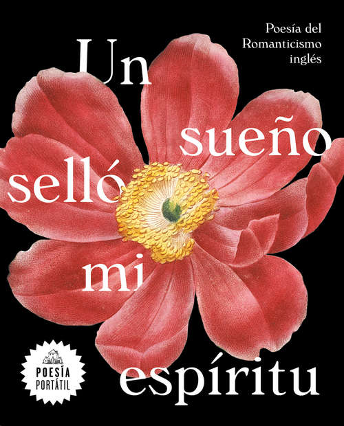 Book cover of Un sueño selló mi espíritu (Flash Poesía)