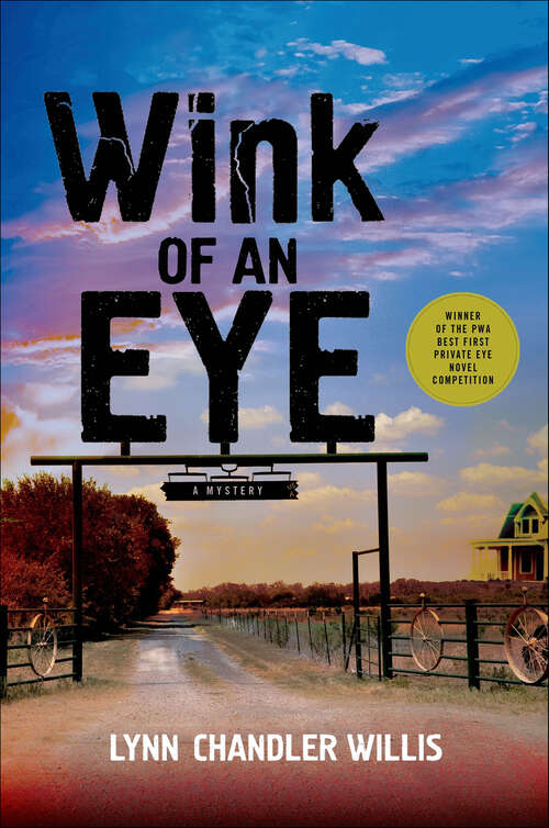 Book cover of Wink of an Eye: A Mystery