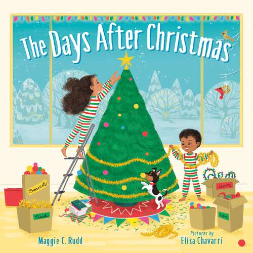 Book cover of The Days After Christmas