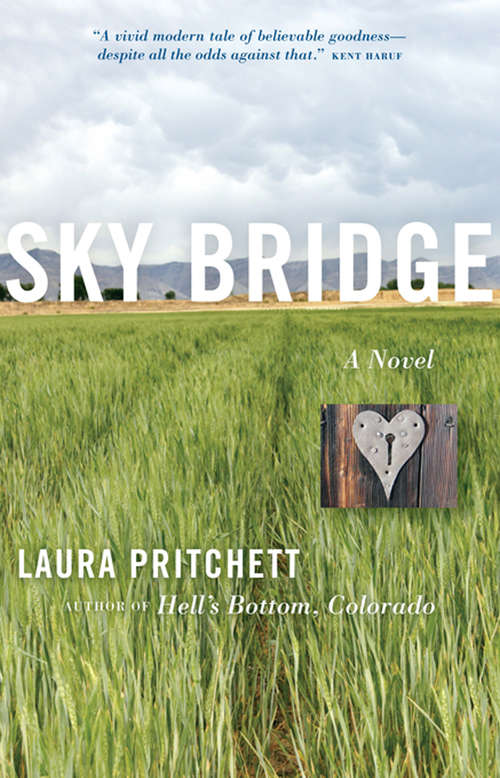 Book cover of Sky Bridge: A Novel