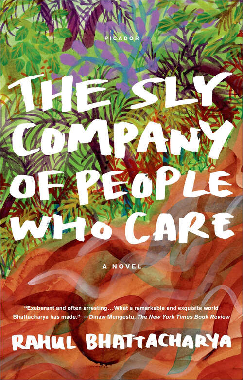 Book cover of The Sly Company of People Who Care: A Novel