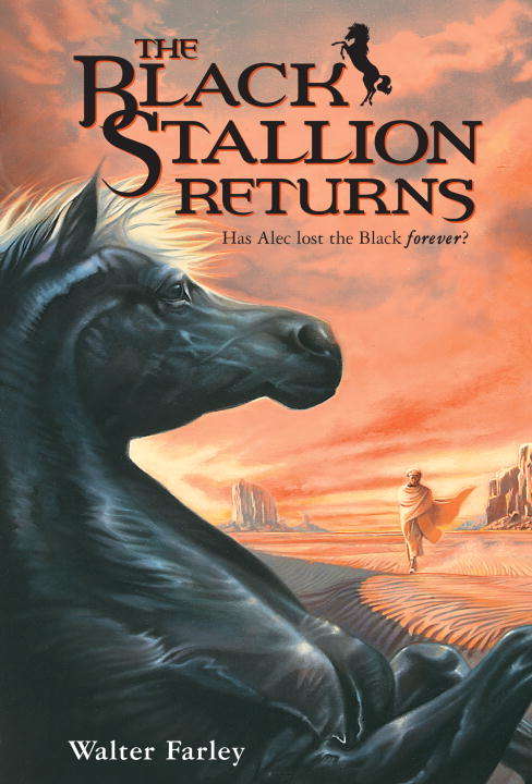 Book cover of The Black Stallion Returns