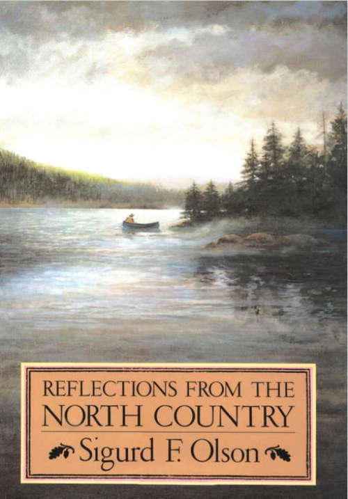Book cover of Reflections from the North Country