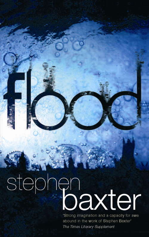 Book cover of Flood