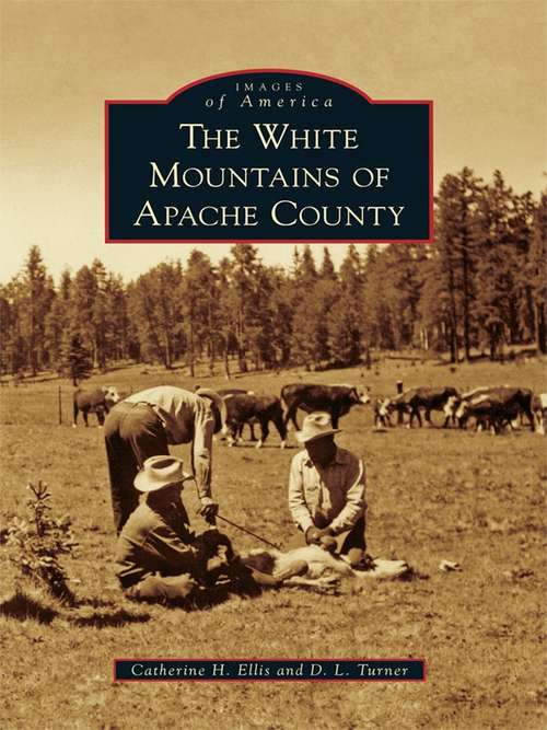 Book cover of White Mountains of Apache County, The