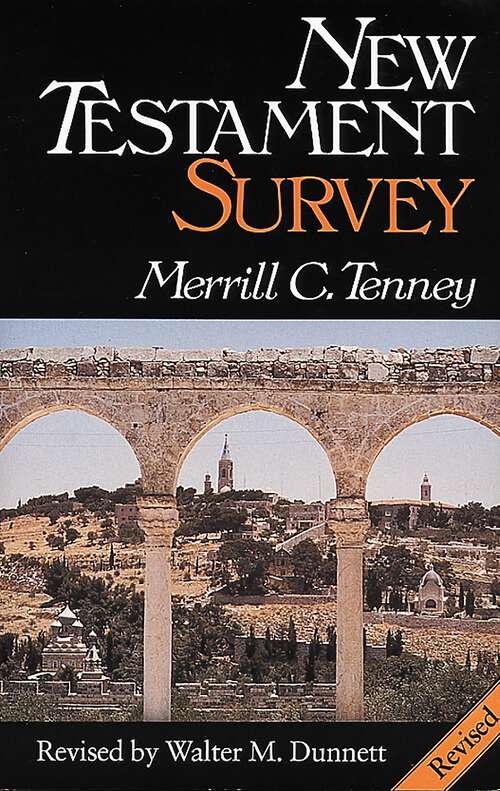Book cover of New Testament Survey
