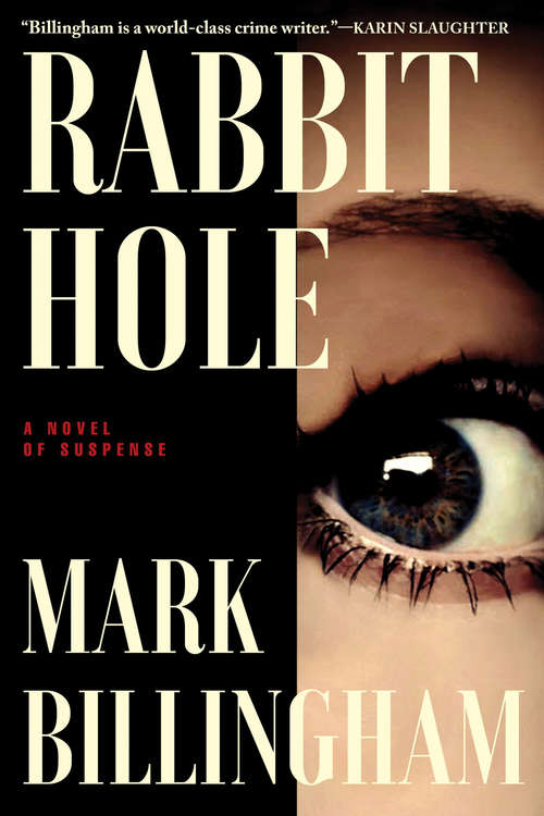 Book cover of Rabbit Hole: A Novel of Suspense