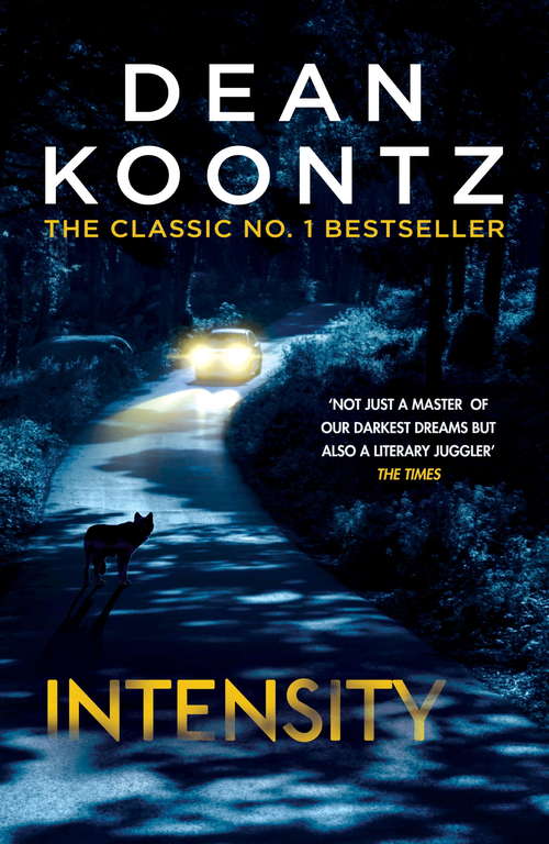 Book cover of Intensity: A powerful thriller of violence and terror