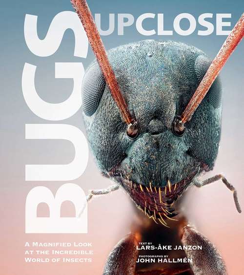 Book cover of Bugs Up Close: A Magnified Look at the Incredible World of Insects