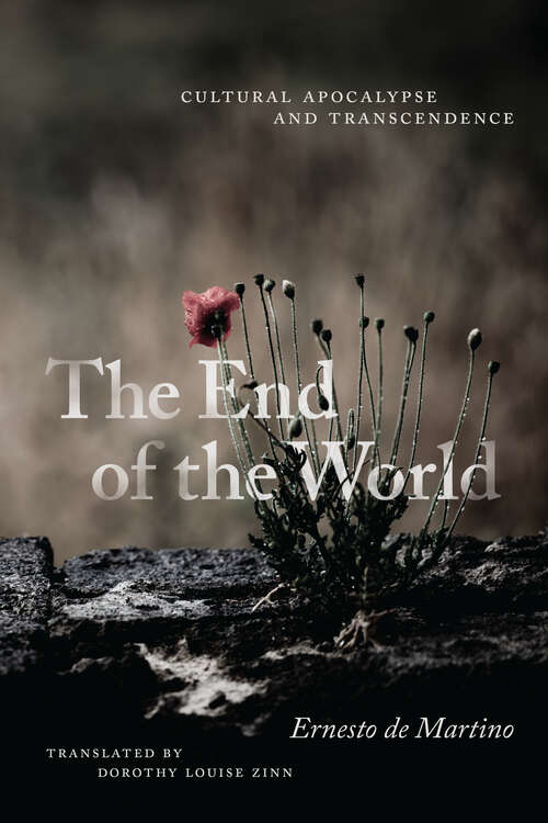 Book cover of The End of the World: Cultural Apocalypse and Transcendence