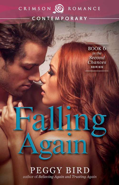 Book cover of Falling Again: Book 6 in the Second Chances series