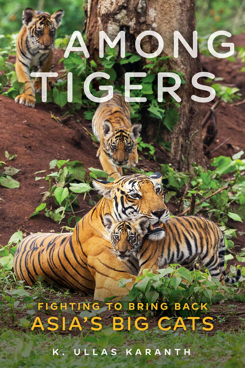 Book cover of Among Tigers: Fighting to Bring Back Asia's Big Cats