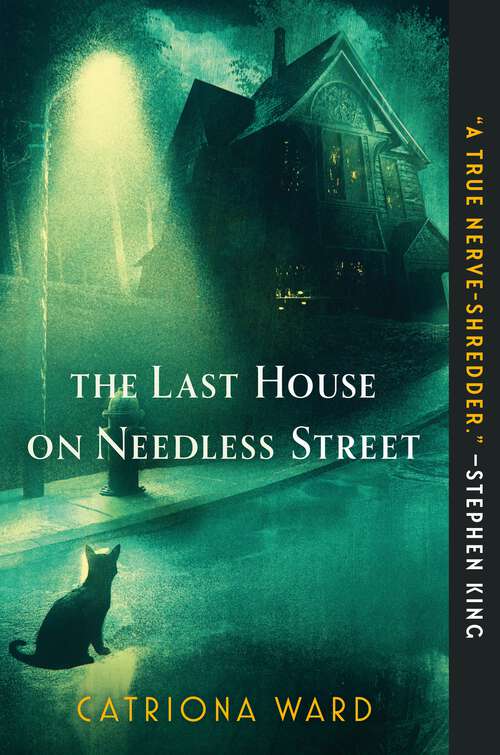 Book cover of The Last House on Needless Street