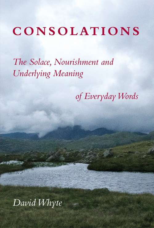 Book cover of Consolations: The Solace, Nourishment and Underlying Meaning of Everyday Words