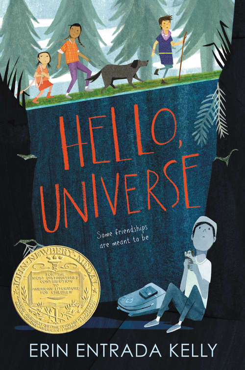 Book cover of Hello, Universe