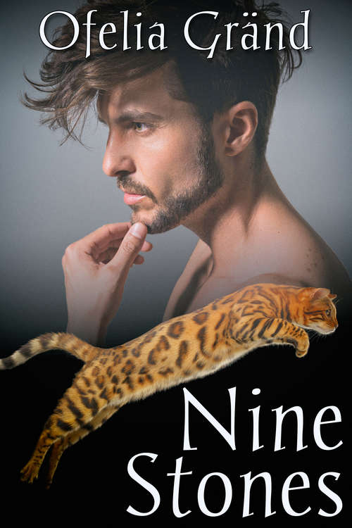 Book cover of Nine Stones