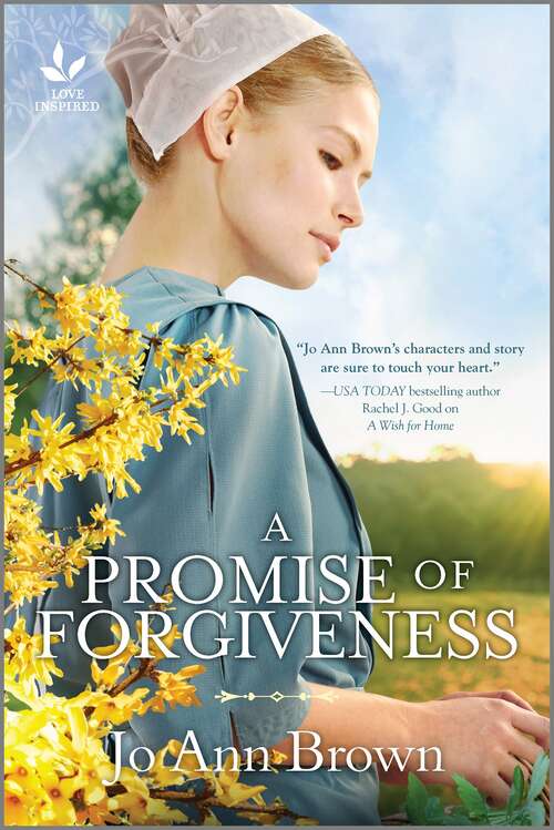 Book cover of A Promise of Forgiveness: An Uplifting Amish Romance (Original) (Secrets of Bliss Valley #2)