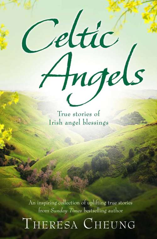 Book cover of Celtic Angels: True stories of Irish Angel Blessings
