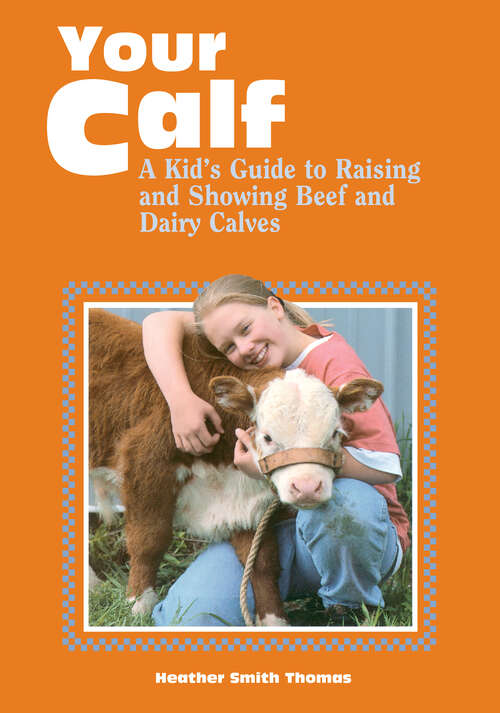 Book cover of Your Calf: A Kid's Guide to Raising and Showing Beef and Dairy Calves (Storey's Your )