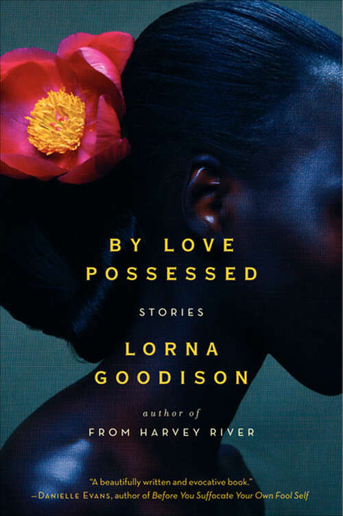 Book cover of By Love Possessed: Stories