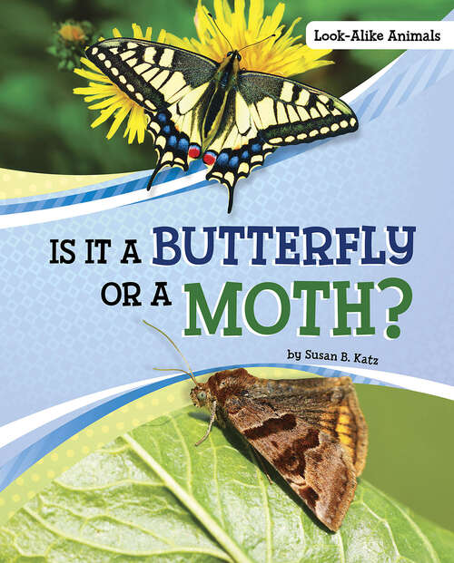 Book cover of Is It a Butterfly or a Moth? (Look-alike Animals Ser.)