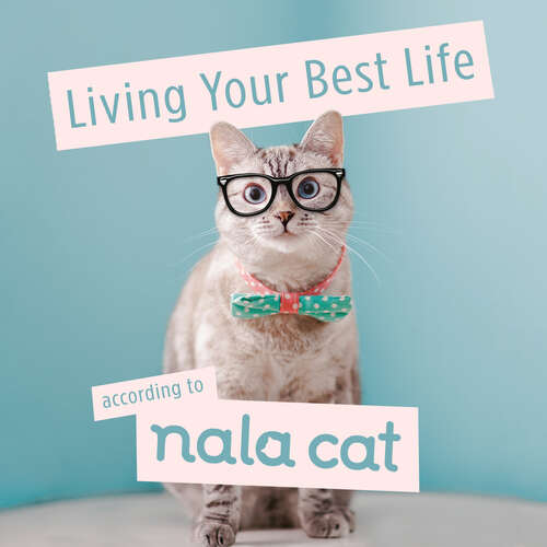 Book cover of Living Your Best Life According to Nala Cat