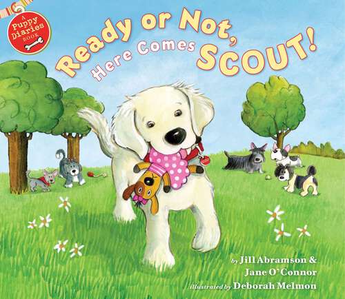 Book cover of Ready or Not, Here Comes Scout