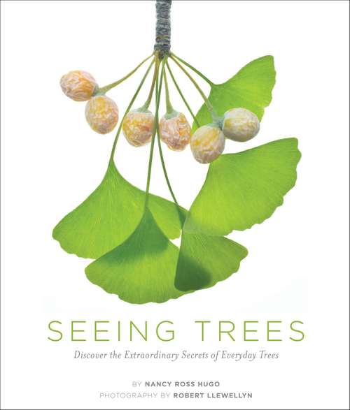 Book cover of Seeing Trees: Discover the Extraordinary Secrets of Everyday Trees (Seeing Series)