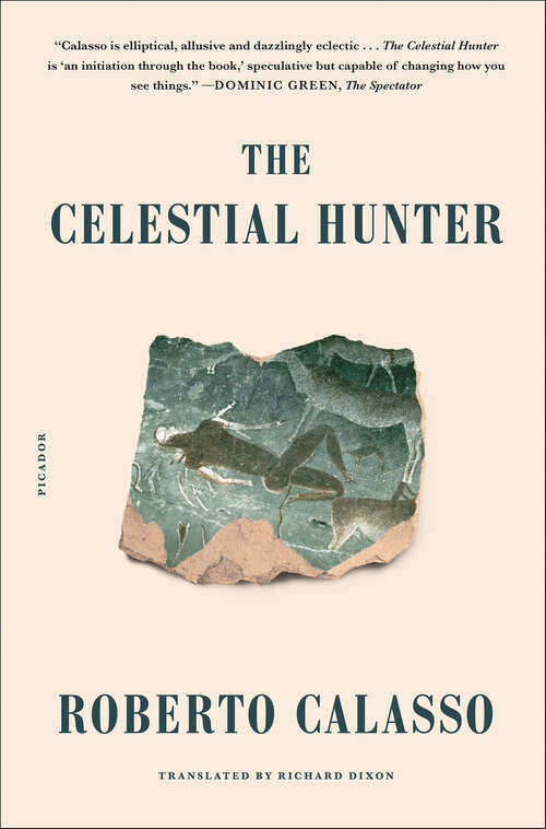 Book cover of The Celestial Hunter