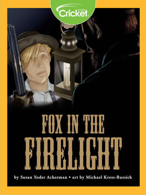 Book cover of Fox in the Firelight