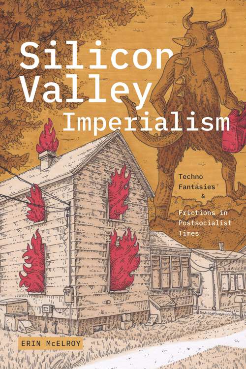 Book cover of Silicon Valley Imperialism: Techno Fantasies and Frictions in Postsocialist Times