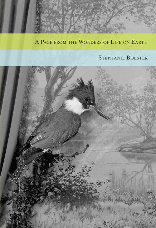 Book cover of A Page from the Wonders of Life on Earth