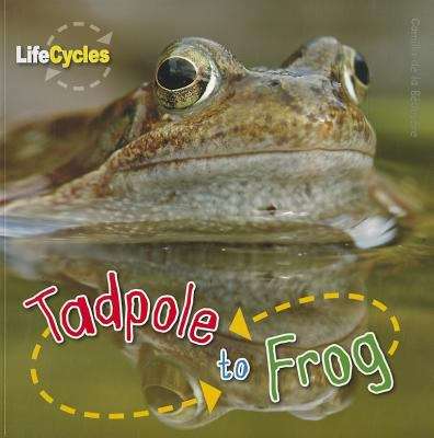Book cover of Tadpole To Frog