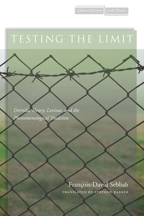 Book cover of Testing the Limit: Derrida, Henry, Levinas, and the Phenomenological Tradition